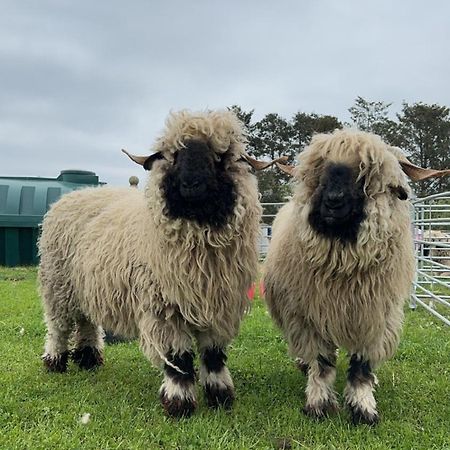 Glampods Glamping Pod - Meet Highland Cows And Sheep Elgin Villa Exterior photo