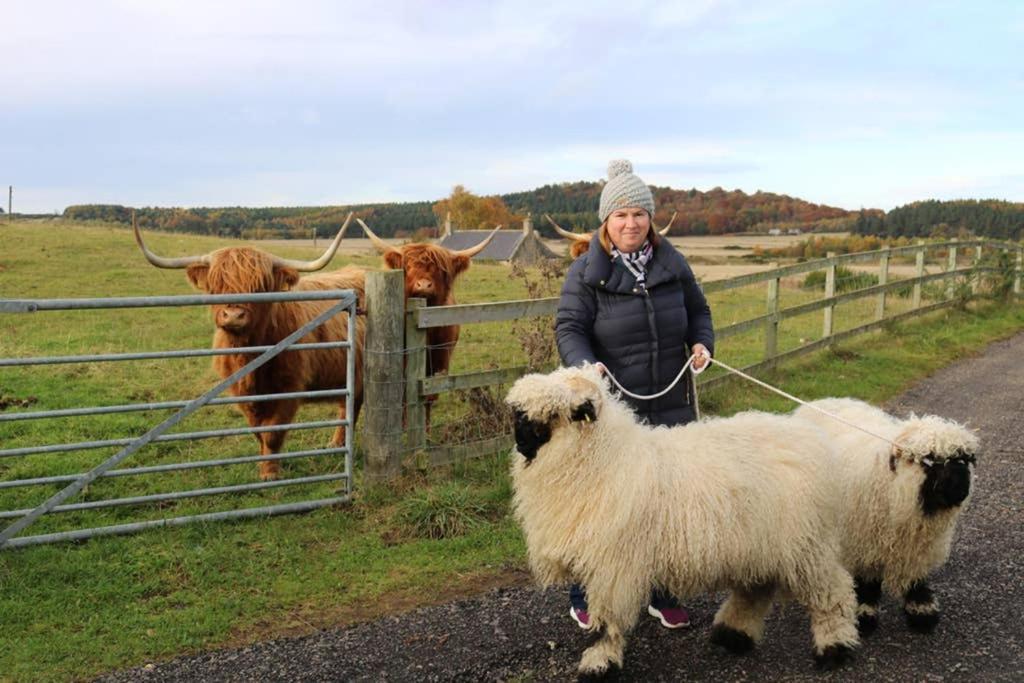 Glampods Glamping Pod - Meet Highland Cows And Sheep Elgin Villa Exterior photo