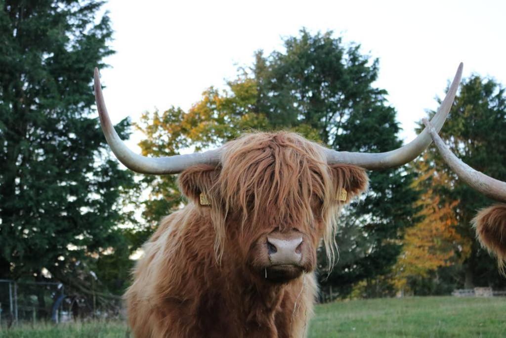 Glampods Glamping Pod - Meet Highland Cows And Sheep Elgin Villa Exterior photo