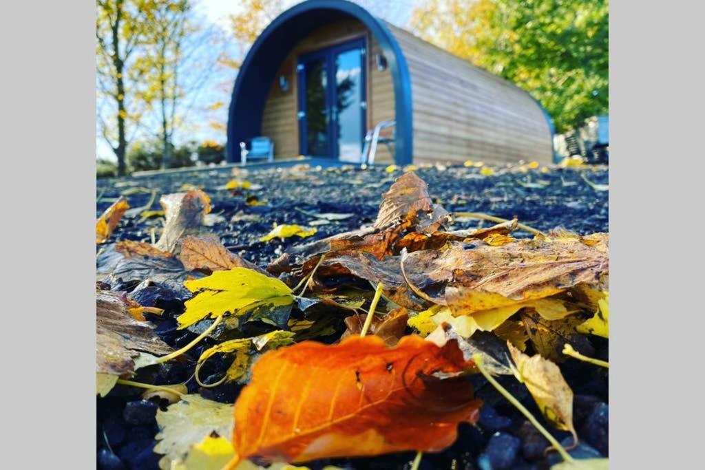 Glampods Glamping Pod - Meet Highland Cows And Sheep Elgin Villa Exterior photo